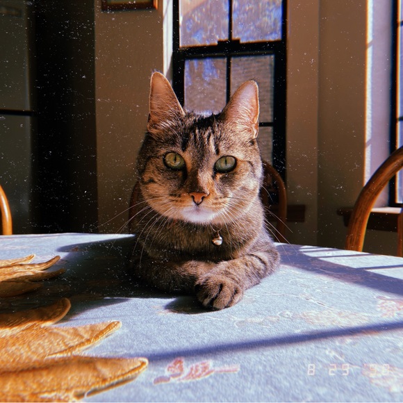 Meet Rainbow Soul - Picture 9 of 15